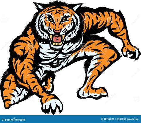 Tiger Attack Stock Photography | CartoonDealer.com #10762226