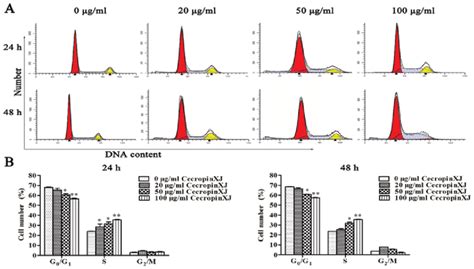 Cecropinxj Induces Cell Cycle Arrest At S Phase In Bgc Cells Bgc