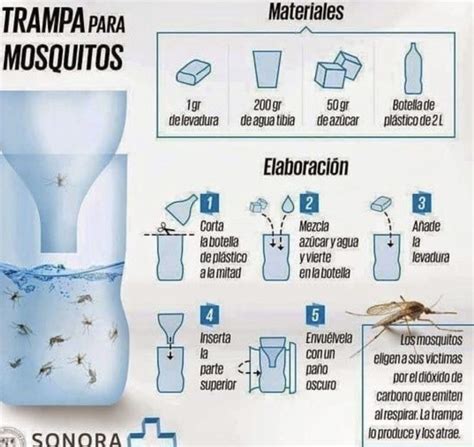 Los 5 métodos caseros y naturales para eliminar a los zancudos