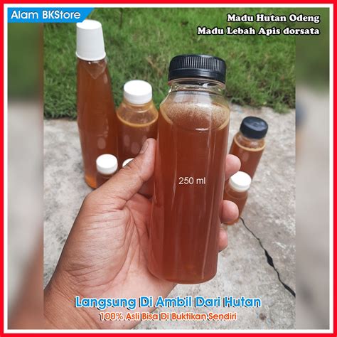 Jual Madu Odeng Madu Apis Dorsata Madu Hutan Asli Ciamis Per 250