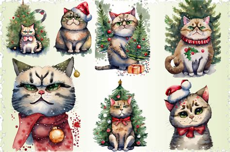 Grumpy Christmas Cat Sublimation Bundle By Jasim TheHungryJPEG