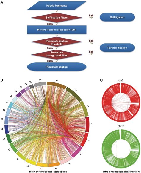 Hi C Analysis And Genomic Interactions In K562 Cells A Hi C Data