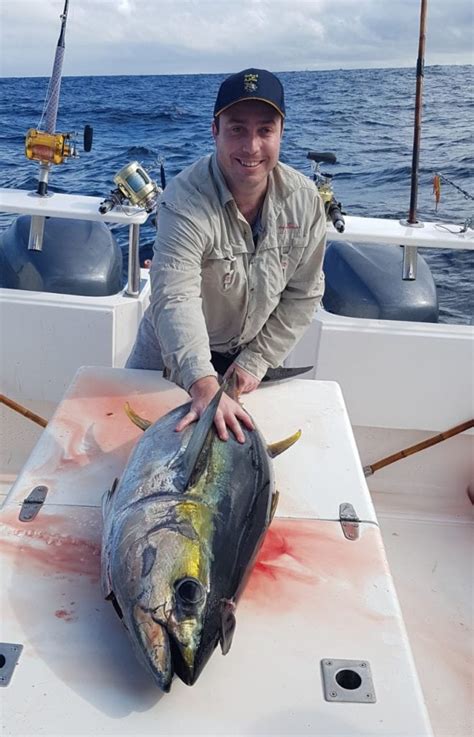 Yellowfin Tuna Fishing Charters Deep Sea Fishing Cape Town