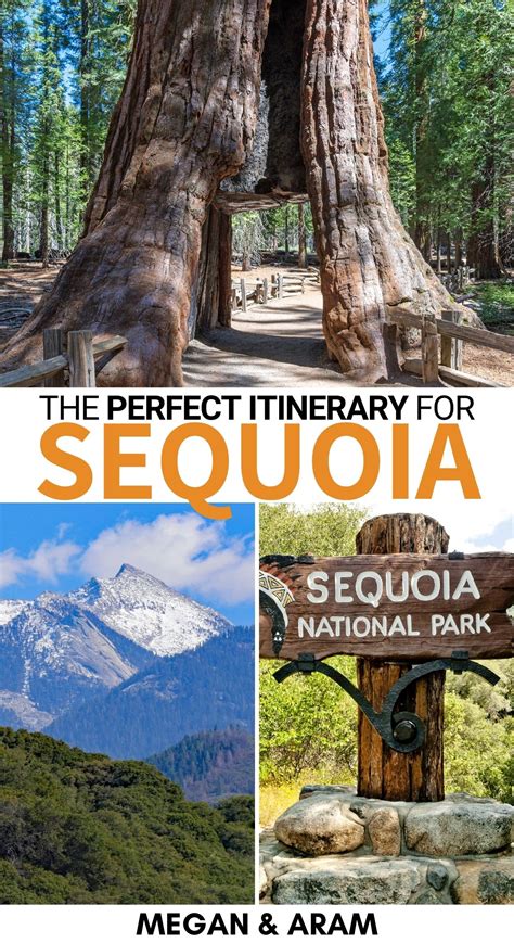 One Day In Sequoia National Park Perfect Itinerary Tips Artofit