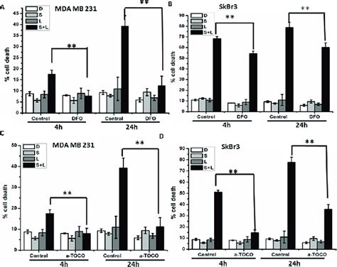 Ros Scavenger Decreases Siramesine And Lapatinib Induced Autophagic