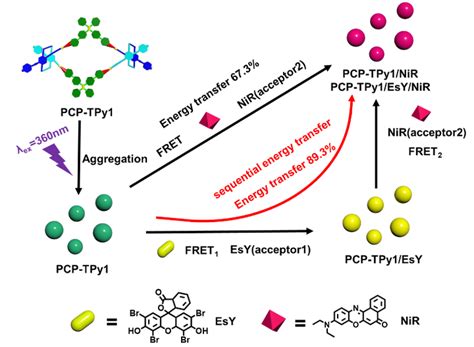 【jacs】华中科技大学王成亮团队制备出高导电三维聚合物单晶 知乎