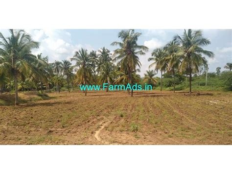 Acres Coconut Farm Land For Sale At Chikanayakanahalli Tumkur