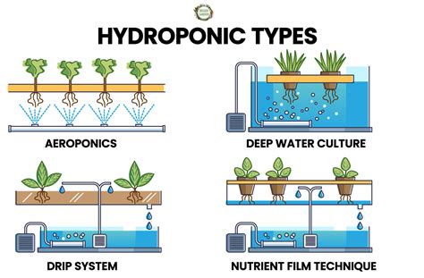 Difference Between Hydroponics And Aeroponics Definition, , 58% OFF