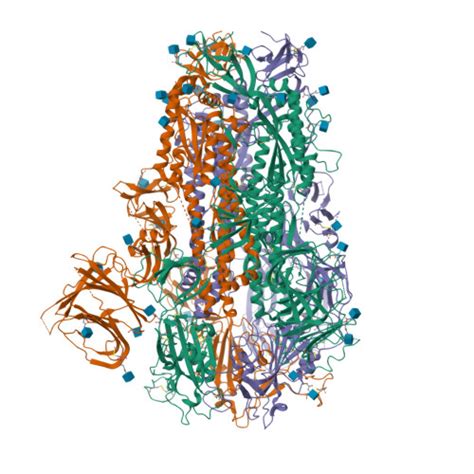 Rcsb Pdb Xmg Cryo Em Structure Of Sars Cov Omicron Hv Spike