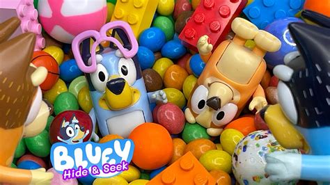 Bluey Toys Hide And Seek Kids Learning Video Youtube