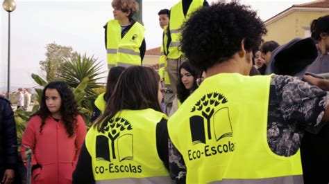 Hastear Da Bandeira Eco Escolas 2022 AE Murtosa