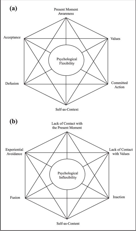 Figure 1 From Disentangling Components Of Flexibility Via The Hexaflex