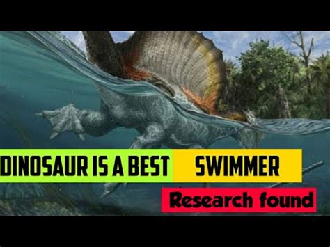 Swimming Dinosaur Spinosaurus Become The First Known Swimming