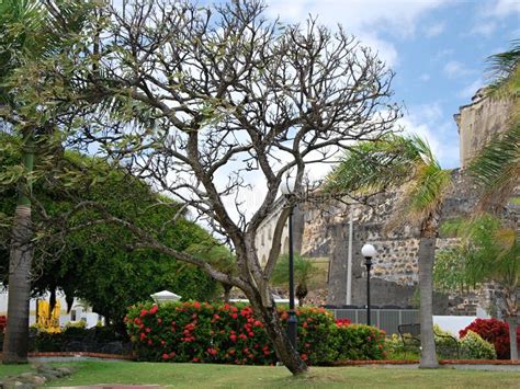 Fort Et Parc Historique Dans La Vieille Ville De San Juan Porto Rico