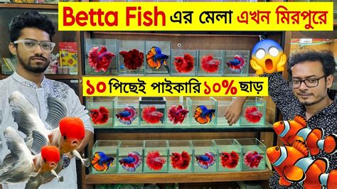 Aquarium Price In Bangladesh Aquarium Fish Price In BD Aquarium Fish