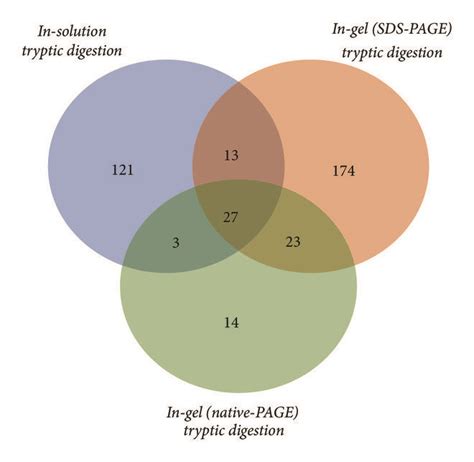 Venn Diagram Distribution Of Identified Proteins In Each Of The Three