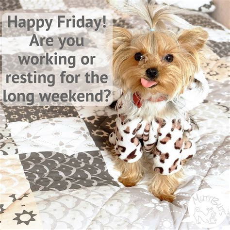 Happy Friday Are You Working Or Resting For The Long Weekend I Cant