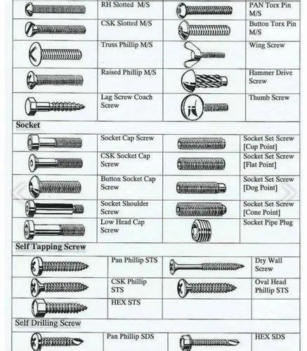 Fastener Type Chart In 2023 Screws And Bolts Garage Tools 55 Off