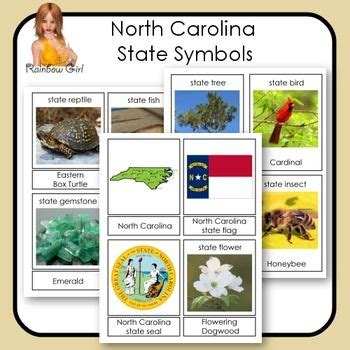 North Carolina State Symbols | State symbols, Symbols, North carolina