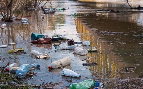 Garbage In The River Stock Photo Image Of Catastrophe 167593754