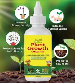 Fertilizing Blackberry Plants