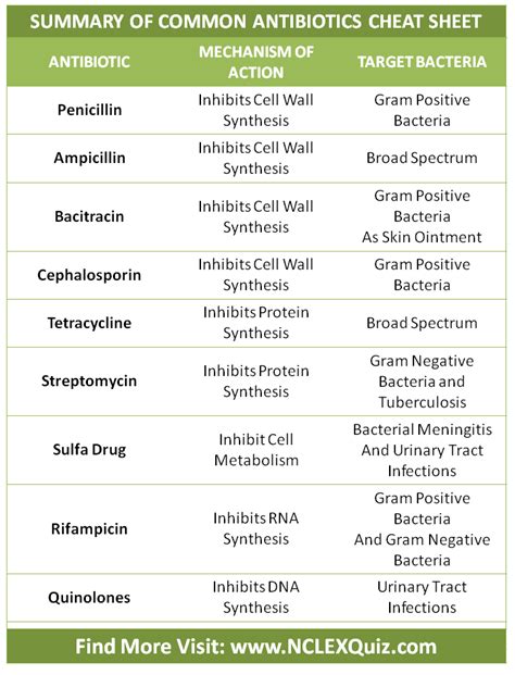 Summary Of Common Antibiotics Cheat Sheet NCLEX Quiz