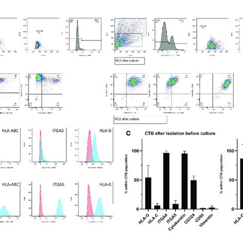 Cell Frequencies By Flow Cytometry After Enrichment And During Ctb