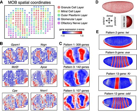 Characterizing Spatial Gene Expression Heterogeneity In Spatially Resolved Single Cell