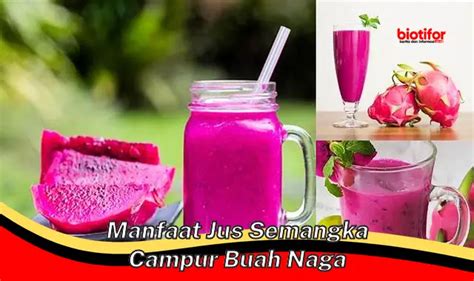 5 Manfaat Jus Semangka Campur Buah Naga yang Jarang Diketahui - Biotifor