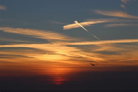 Free Images Sea Horizon Wing Cloud Sun Sunrise Sunset Sunlight