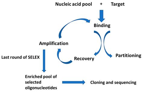 Sensors Free Full Text From Small Molecules Toward Whole Cells Detection Application Of