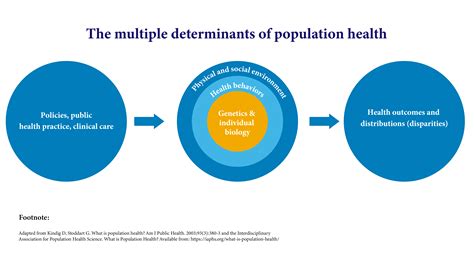 Population Health Research Emory School Of Medicine