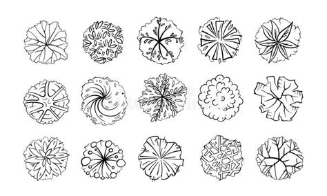 Rvores Arbustos E Arbustos Vista Superior Para O Plano De Design De