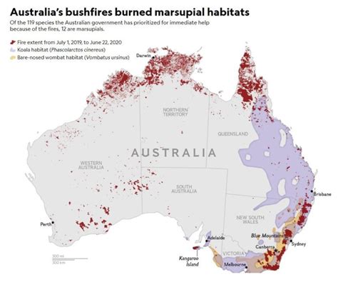 Climate Change And The Australian Bushfires A Visual Guide Earth Org