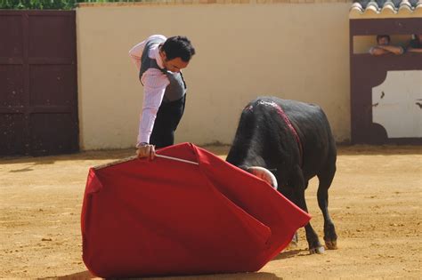 TOROS EN SEVILLA TRES MATADORES SEVILLANOS EN EL ARRANQUE DE LA