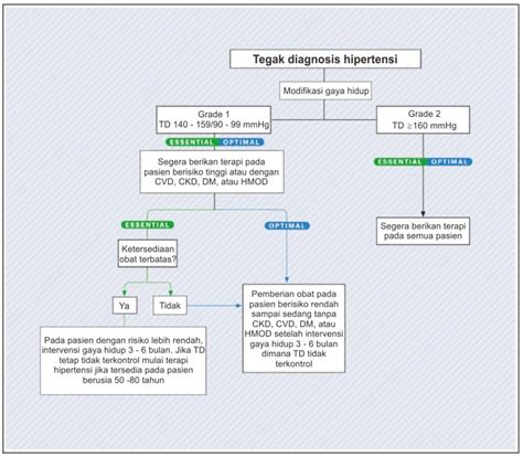 Hipertensi Diagnosis Dan Tatalaksana Ish 2020 Kedokteran Caiherang