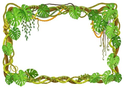 Premium Vector Tropical Forest Liana Frame With Jungle Plants