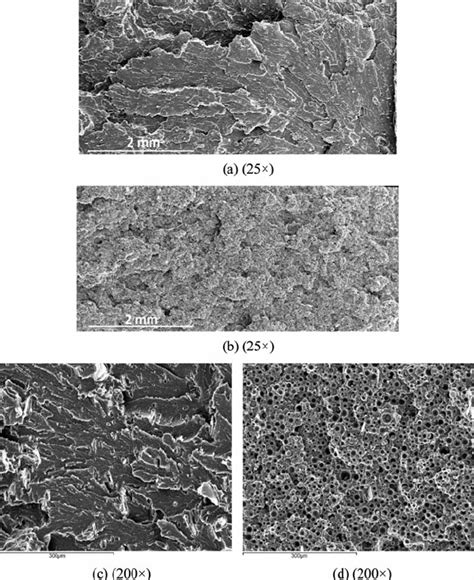 Sem Images Of Fractured Tensile Betamate Tm Specimens A