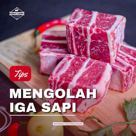 3 Cara Mengolah Iga Sapi Rumah Daging Bogor