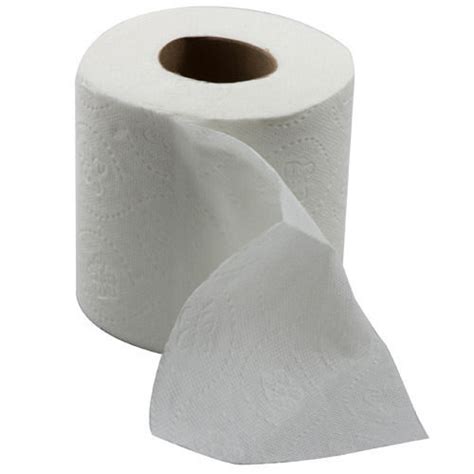 White Disposable Toilet Paper Roll Weight 50 200 Grams G At Best