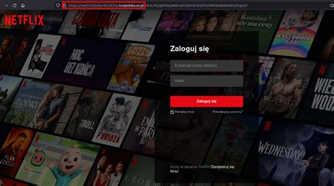 Kampania Phishingowa Wykorzystuj Ca Wizerunek Serwisu Netflix Cert Polska