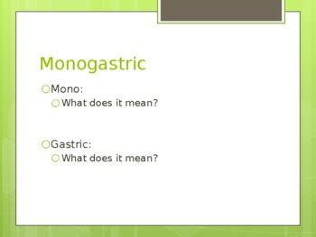 Monogastric Digestive System Powerpoint By Sara Wendt Tpt