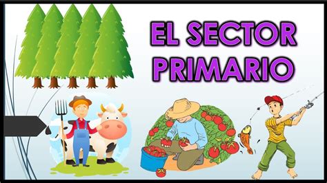 El Sector Primario Youtube