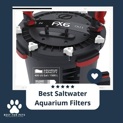 The 15 Best Saltwater Aquarium Filters