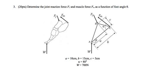 Determine The Joint Reaction Force Fj And Muscle