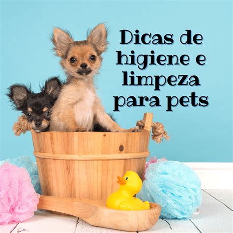 Dicas De Higiene E Limpeza Para Pets Como Manter Seu Pet Limpo E