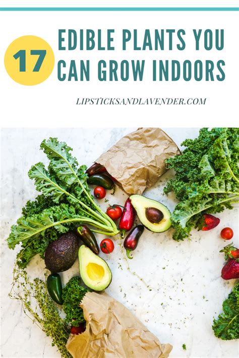 17 Edible Plants You Can Grow Indoors Year Round Growing Indoors