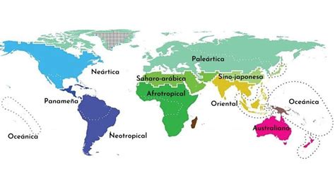 Regiones Y Ecoregiones Biogeograficas Biogeomarina Nbkomputer