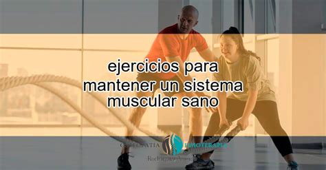 Ejercicios De Espalda Efectivos Para Desarrollar M Sculos De