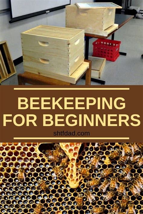 How To Start Beekeeping A Complete Beginners Guide Beekeeping For